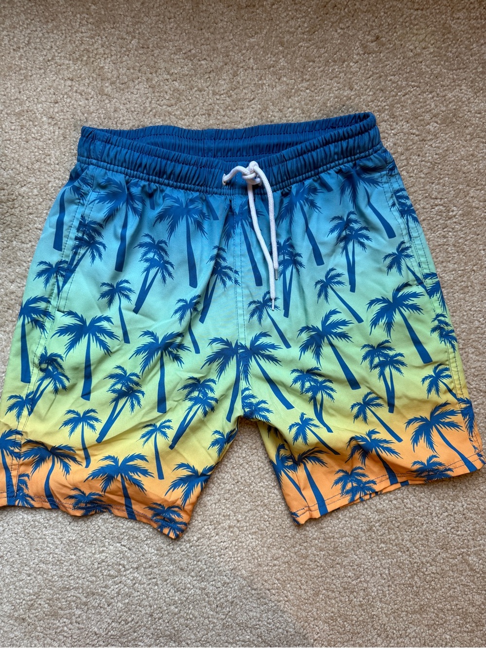 Boys 14/16 Palm Print Swim Shorts - Blue/Green/Orange